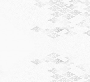bg_top_001b