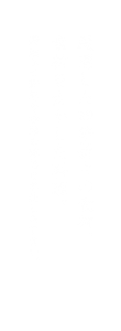 sp_main_copy